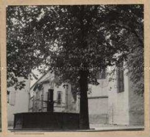 Wachenheim