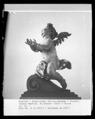 Putto