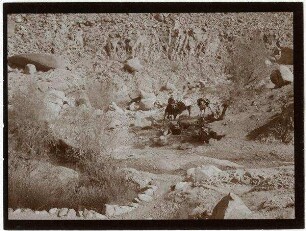 Quelle am oberen Ende des w. [wadi] tarfa [Wadi tarfa]