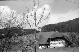Gutach: Schwarzwaldhaus an der Schwarzwaldbahn bei Gutach