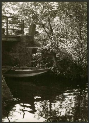 Brücke, im Pfälzer Wald