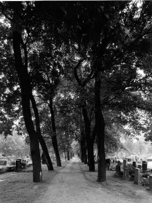 Friedhof der Ev. St. Petri-Luisenstadt-Kirchengemeinde; Berlin, Friedrichshain-Kreuzberg