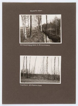 Referenzmappe 3/17 des Fotografen Walter Möbius : Mappenblatt 87 mit zwei Fotografien (Neudorfer Moor (Flachmoor) bei Wittichenau)