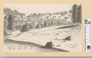Ansicht von Frauenthal nebst der Fuchsmühle auf dem Weg von Reinsbronn : den 29. July 1819
