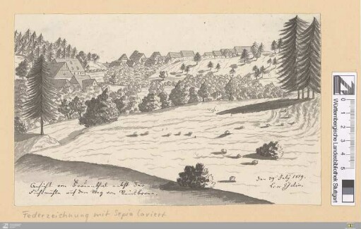 Ansicht von Frauenthal nebst der Fuchsmühle auf dem Weg von Reinsbronn : den 29. July 1819