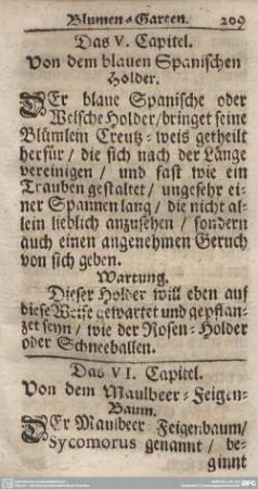 Das VI. Capitel. Von dem Maulbeer-Feigen-Baum.