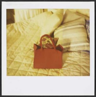Barbara Siebecks Handtasche auf Schloss Mahlberg