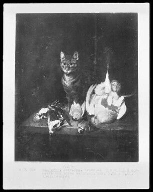 Katze und totes Geflügel