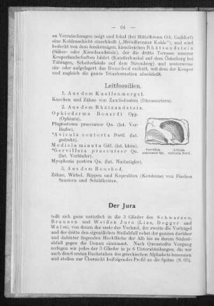 Jura