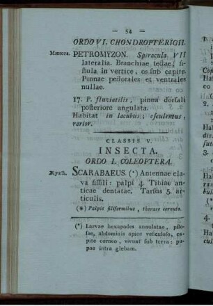 Classis V. INSECTA.