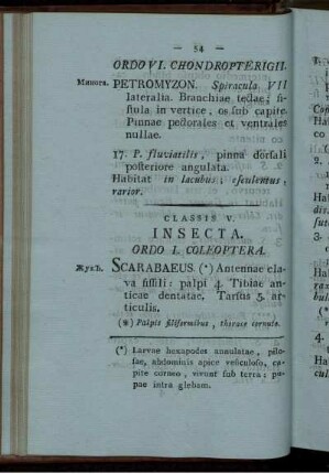Classis V. INSECTA.