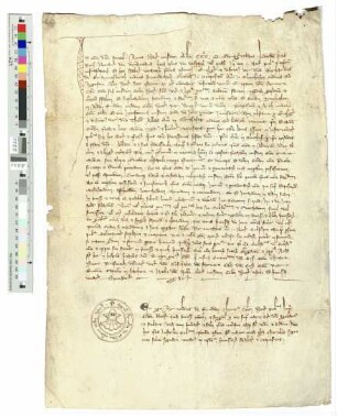 Notariatsinstrument über die Kirche zu Alten-Rüden
