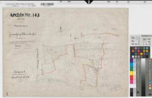 Wettringen (Wettringen), Neuenkirchen (Neuenkirchen), Zusammenlegung Haddorf, Urkarte I Neuenkirchen Flur 1