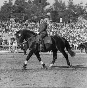Moritzburger Hengstparade. Reiter in Uniform beim Vorführen verschiedener Gangarten