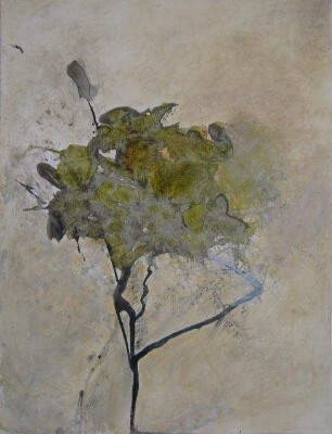unbenannt [Blüte]