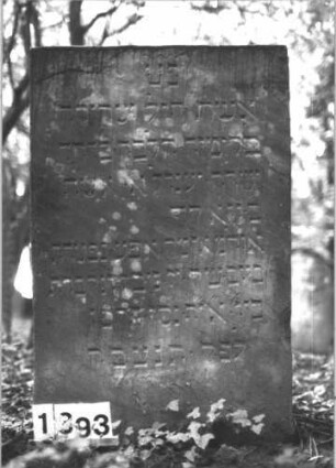 Grabstein 1393