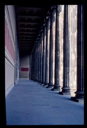 Altes Museum 20.3.76.