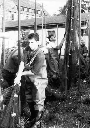 Fischerei in Peitz : Handwerkstechniken - Fischerei. Ort: Picnjo / Peitz. Reinigung und Reparatur der Netze nach dem Abfischen.