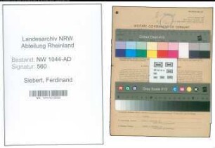 Entnazifizierung Ferdinand Siebert , geb. 14.10.1885 (Ingenieur)