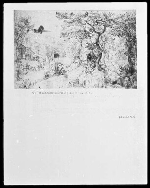 Waldlandschaft mit Häusern am Wasser