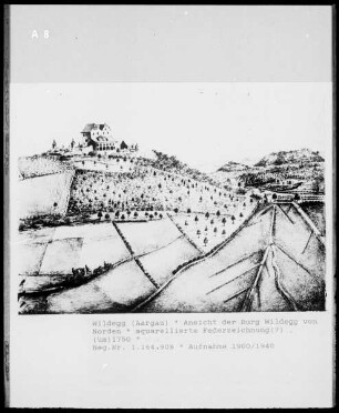 Wildegg: Ansicht Schloss Wildegg von Norden