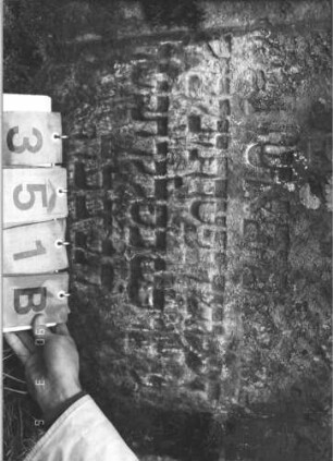 Grabstein 351 (Index: 99609075) Material: Sandstein Zustand: beschädigt, sehr stark verwittert mit sehr großm Textverlust Maße HxBxT: 96x70x13 cm Beschreibung: Stele, Segmentbogenabschluß Besonderheit: Foto unscharf: Grabstein 351B