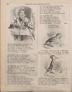 "Jubellieder eines alten Lateinlehrers" "Der Wiedehopf"