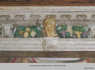 Villa Porto Colleoni; Salone del camino
