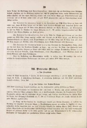 VIII. Betriebs-Mittel