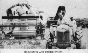 Harvesting and drying wheat