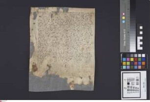 Biblis: Heinr[ich] v. Hartenau verkauft den Eheleuten Hans v. Walborn und Lucie v. Reiffenberg Hof und Güter zu Biblis bei Wattenheim