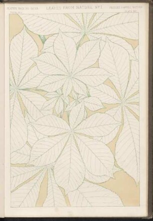 Abbildungen [Taf. 91 - 100]