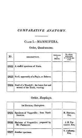 Comparative anatomy.