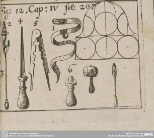 Fig: 12. Cap: IV fol: 207
