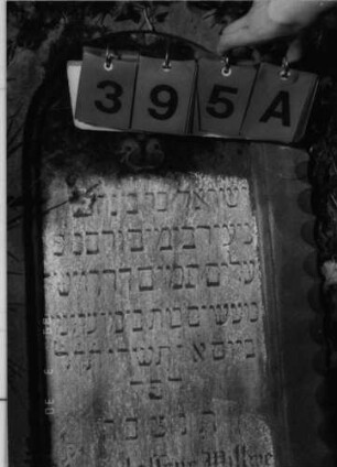 Grabstein 395 (Index: 99792070) Material: Sandstein Zustand: leicht verwittertert, Stele liegend Maße HxBxT: 97x52x19 cm Beschreibung: Stele, Rundbogenabschluß, Schriftfeld eingetieft Symbolik: Blüte: Grabstein 395A