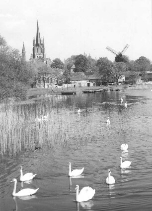 Werder (Havel). Stadtansicht mit Bockmühle, Ansichtskarte