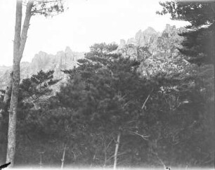 Berggipfel : Blick durch Bäume zu den Gipfeln
