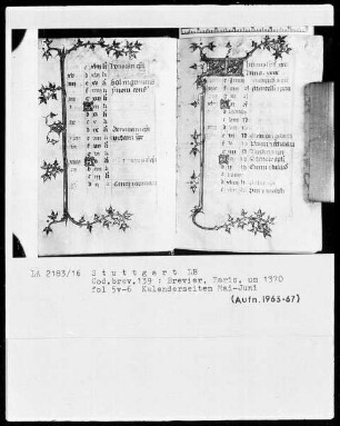 Lateinisches Stundenbuch — KL-Ligatur mit anschließender Ranke als Teilbordüre, Folio 6recto