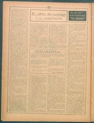 El cultivo del espárrago y su conservación