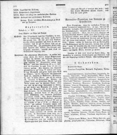 Naturalien-Sammlung von Ammann zu Schafhausen