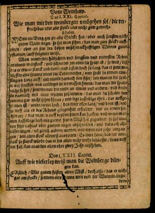 Das LXXI. Capitel. - Beschluß.