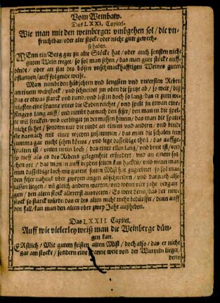 Das LXXI. Capitel. - Beschluß.