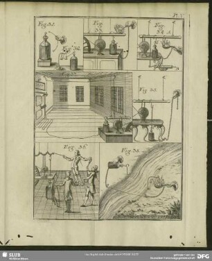 Fig. 31. - Fig. 38.