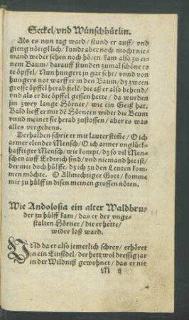 Wie Andolosia ein alter Waldbruder zu hülff kam/ das er der ungestalten Hörner/ die er hette/ wider loß ward.