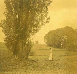 Bei Bergzabern. Lasi