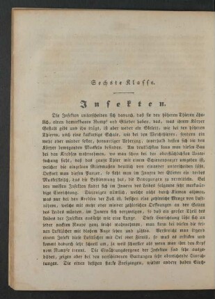Sechste Klasse. Insekten.