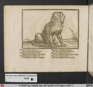 Langhaariger sitzender Jagdhund.