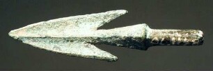 Zweiflügelige Dornpfeilspitze mit Widerhaken