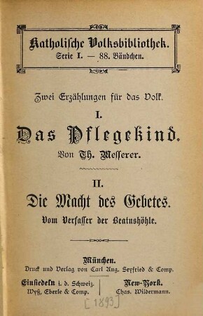 Das Pflegekind