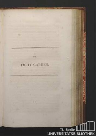 The fruit garden.
